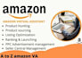 be your virtual assistant for ebay 2 step drop shipping, ebay account management