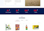 design and develop a professional wordpress website