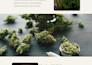 build medical or cannabis, weed, hemp, marijuana cbd ecommerce website