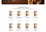 develop a professional, responsive webflow website
