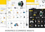 create a professional wordpress ecommerce website, woocommerce store,
