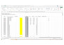 excel models, financial reports and payroll tax preparation
