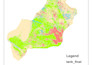 create professional gis maps, remote sensing analysis, and spatial data