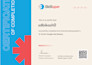 setup and manage google ads PPC campaign with expert