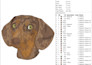 digitize your live image or photo into dst, pes,exp, and cnd