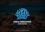 design a professional arabic logo and islamic calligraphy