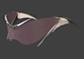 do 3d eyewear design, 3d sunglasses, and eyeglasses modeling for production
