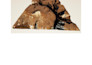 3d print model any terrain, city in the world