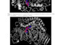 do molecular docking, MD simulation with complete writeup