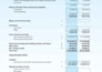 do professional accounting in erp oracle