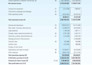 do professional accounting in erp oracle