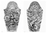 design a complex customized arm sleeve as a tattoo artist