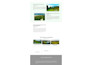 do ecommerce store, online store website using wordpress woocommerce, elementor