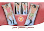 draw custom anime dakimakura body pillow illustration sfw or nsfw