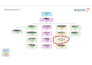 setup, manage and optimise amazon PPC campaigns and audit