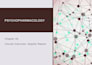 design a professional and modern powerpoint presentation