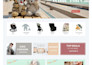 develop magento 2 store with API, google tools, payment and shipping setup