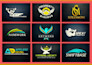 do quick and original logo design with unlimited revisions