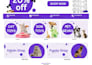 create a professional and automated dropshipping website