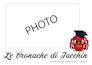 create custom photobooks or menu please contact me before ordering