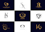 design modern luxury logo for your business