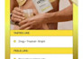 design email template, sendgrid email newsletter template
