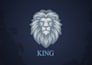 a professional animated logo, 2d or 3d intro video