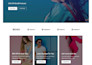 craft a responsive wordpress website with elementor, divi or beaver builder