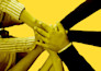 design a professional and modern report or document