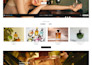 copy, clone, revamp, redesign shopify website, shopify store