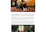share your music news on a popular blog