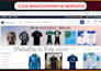 build or redesign a professional wordpress website and woocommerce store