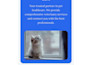 review, fix your vibe code or make custom web application with vibe coding