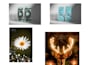be your photoshop artist