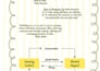 create aesthetic and easy to understand digital study notes