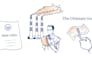design engaging hand drawn whiteboard animations