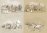 draw architectural and watercolor drawings