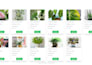 make responsive mern stack website
