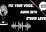 professional audio cleaning and voice cleanup  studio quality
