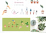 create vector illustrations in my style