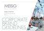 design your professional brand style guide and company logo