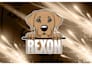 create a custom vector mascot logo for your brand