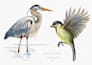 create hand painted watercolor illustrations