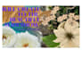 create the photo or video slideshow full HD 1080p