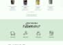 design a professional and modern web design