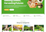 do professional wordpress website development with expertise