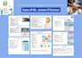 offer urgent nursing services care plan,concept map,PPT,articles