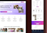 build a responsive react landing page or website with modern design