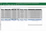 clean, format, and organize excel data, remove duplicates, and fix errors