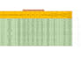 clean, organize, and format your excel data professionally